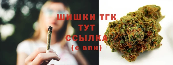 гидра Пестово