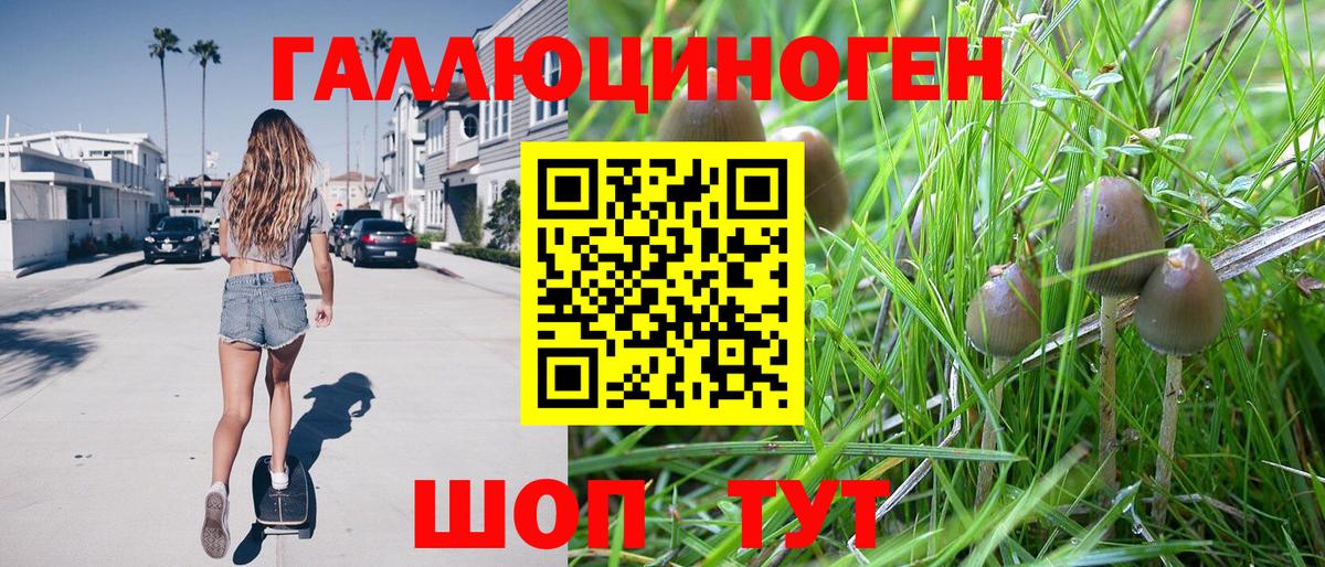 Псилоцибиновые грибы GOLDEN TEACHER  Вход с VPN  Кизляр 