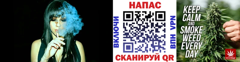 Каннабис сатива  Кизляр 